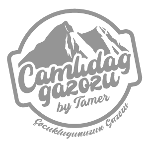 camlidag-gazozu